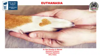 Understanding Euthanasia in Veterinary Medicine