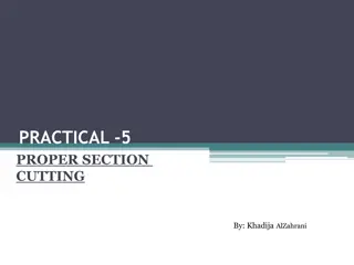 Proper Section Cutting Techniques for Microscopy
