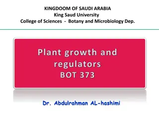 Understanding Apical Dominance in Plant Growth and Regulation