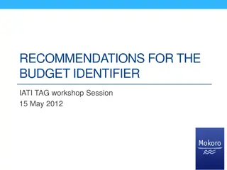 Understanding Aid Information Challenges and Options for Budget Identifier
