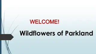 Best Event Flowers in Forest Hills