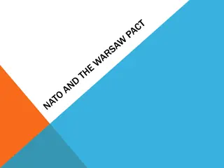 Cold War Alliances: NATO, Warsaw Pact, and Arms Race