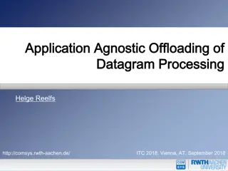 Accelerating NF Processing Through Task Offloading in Networking Stacks