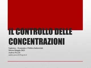 Concentration Control in Economics and Industrial Policy