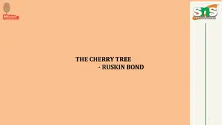 Cherries in Northern India: Cultivation, Authors, and Nature's Beauty