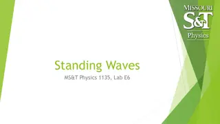 Observing Standing Waves and Nodes in Physics Lab