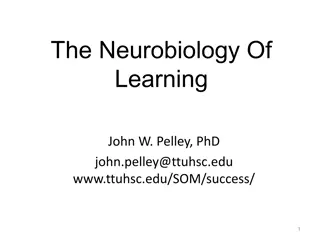 Understanding Neurobiology of Learning and Brain Function