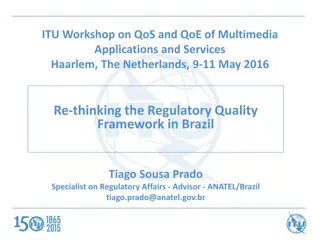 Re-defining Regulatory Quality in Brazil