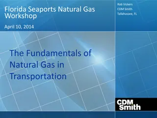 Natural Gas in Transportation Sector Overview