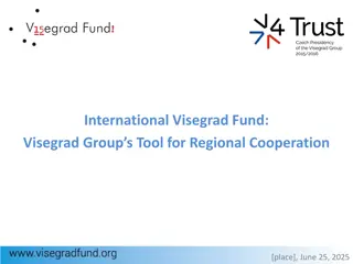 Visegrad Fund Overview 2025