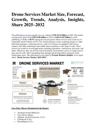 Drone Services Market