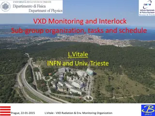 VXD Radiation Monitoring and Interlock Sub-Group Organization