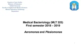 Aeromonas and Plesiomonas: Bacterial Pathogens Overview