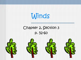 Understanding Wind Patterns and Local Winds