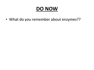 Understanding Enzymes: Protein Catalysts in Chemical Reactions