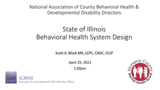 Illinois Behavioral Health System Overview