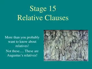 Understanding Relative Clauses for Language Learners