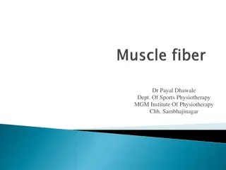 Understanding Muscle Structure and Contraction