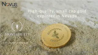 High-Quality Small-Cap Gold Explorer in Nevada Investor Overview February 2023