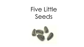Magical Transformation of Five Little Seeds