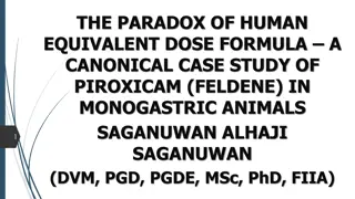 Understanding Human Equivalent Dose Formula in Piroxicam Study