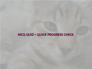 Kitten Care Tips Quiz