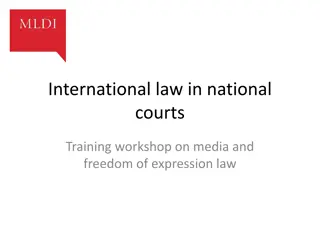 Understanding International Law in National Courts