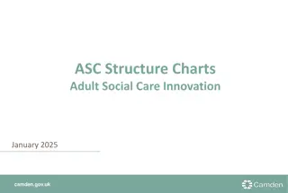 Adult Social Care Innovation in Camden 2025
