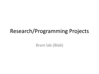 Bram Lab Projects and Code Improvements