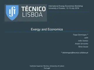 Insights on Exergy Economics and Energy Intensity