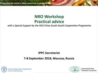 Managing Reports on IPP: Best Practices for Updates