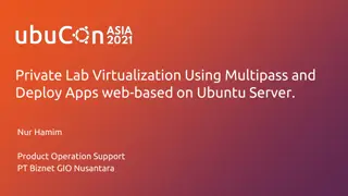 Private Lab Virtualization Using Multipass for Efficient Development