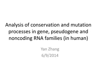 Gene Conservation and Mutation Analysis