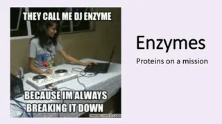 Understanding Enzymes: Catalysts of Life