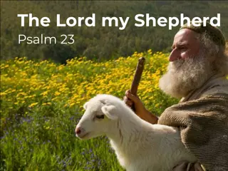 Shepherd's Comfort in Psalm 23