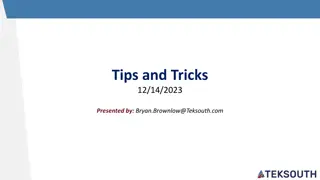 Database Relationship Keys and Structures