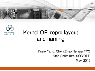 Kernel OFI Repro Layout and Naming Framework
