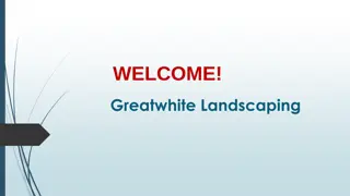 Best Decking in Timberlea