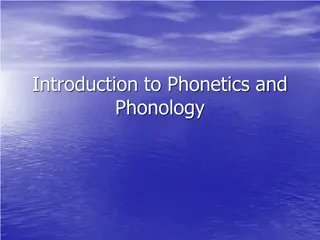 Understanding Plosive Consonants in Phonetics