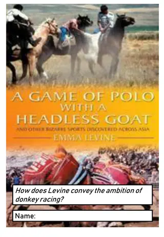 Levine's Donkey Racing Ambitions in Karachi