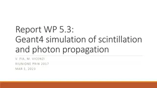 Geant4 Simulation of Scintillation and Photon Propagation