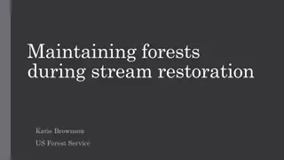 Maintaining Forests in Stream Restoration