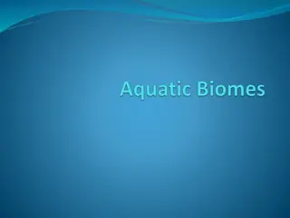 Marine Ecosystems: A Vital Component of Earth's Environment