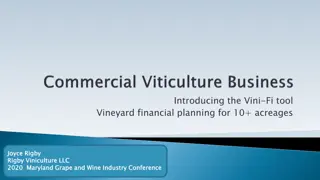 Vini-Fi Tool for Vineyard Financial Planning