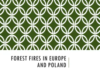 Forest Fires in Europe and Poland