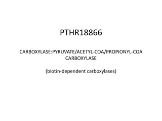 Biotin-dependent Carboxylase Activity and Enzyme Domains Analysis