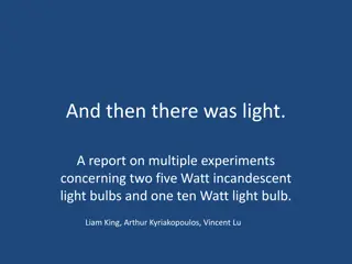 Experiment Report on Light Bulbs: Brightness and Efficiency