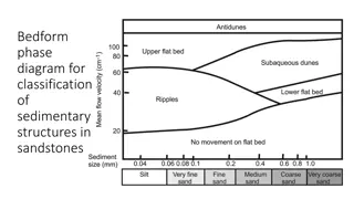 Sedimentary Structures in Sandstones
