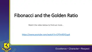 Fibonacci Spiral Creation Guide