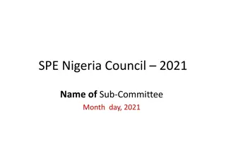 Nigeria Council Sub-Committee Activities Overview